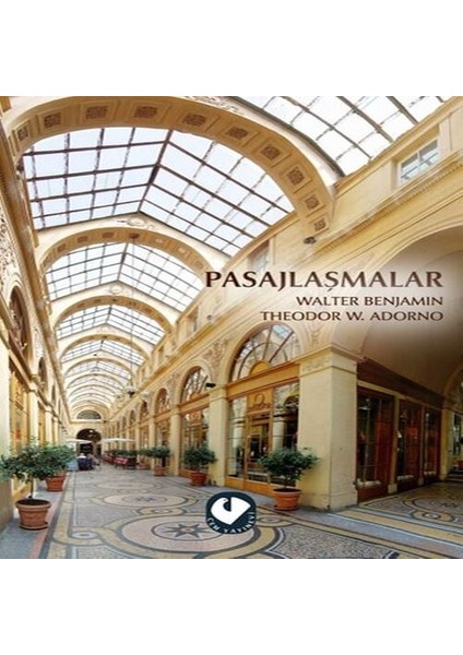 Pasajlaşmalar