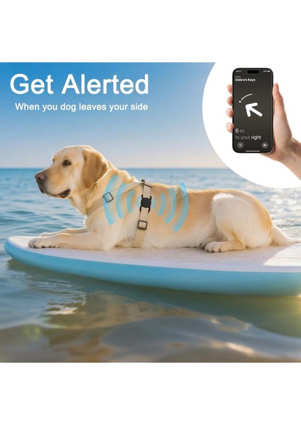 Apple Airtag Kılıf Evcil Hayvan Için Boyun Tasma Aparatı Lila modelleri