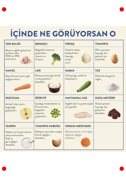 Taze Ton Balıklı Kedi Yemeği fiyatları