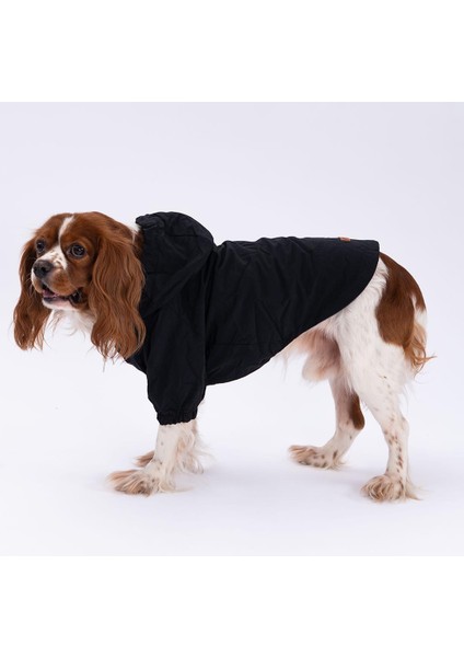 Siyah Mont Köpek Mont Köpek Kıyafeti Köpek Yağmurluğu(Küçük-Büyük Irklar)
