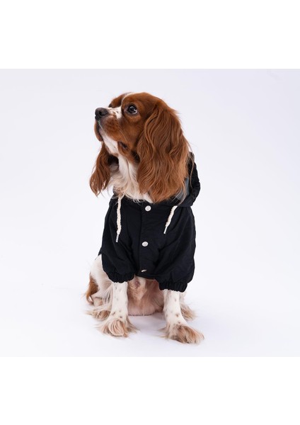 Siyah Mont Köpek Mont Köpek Kıyafeti Köpek Yağmurluğu(Küçük-Büyük Irklar) modelleri