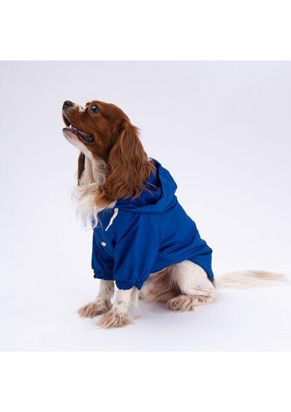 Mavi Mont Köpek Mont Köpek Kıyafeti Köpek Yağmurluğu(Küçük-Büyük Irklar) fiyatları