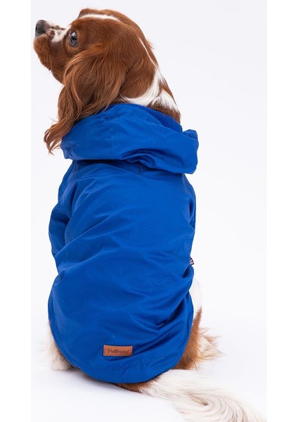 Mavi Mont Köpek Mont Köpek Kıyafeti Köpek Yağmurluğu(Küçük-Büyük Irklar) modelleri