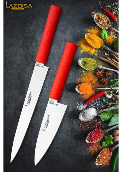 Asia Serisi Mutfak Bıçak Seti Et Ekmek Sebze Salata Suşi Sivri Şef Bıçağı 2 Li Set Hds-27