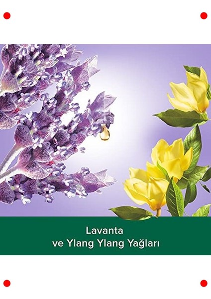 Ylang Ylang & Iris Özlü Sıvı El Sabunu 700 ml fiyatları