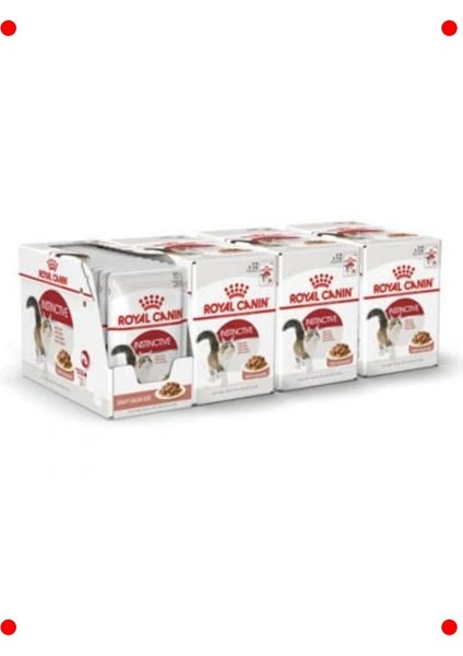 Soslu Yaş Kedi Maması 85 gr x 12 Adet fırsatları