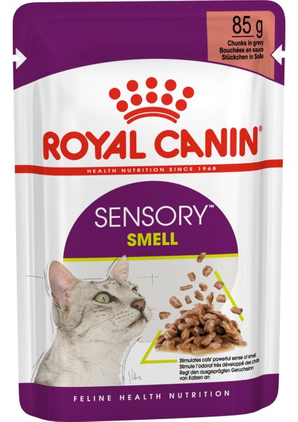 Fit32 2 Kg + Sensory Smell Gravy 85g 2 Adet Hediye modelleri