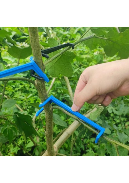 Dal Yayıcılar Bitki Sapı Eğitimli Meyve Ağacı Dal Çekici Bağlama Makinesi Çiftlik Aletleri Yeni Erik Ağacı Açık Açılı Çekme (Yurt Dışından) fiyatları