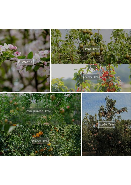 Dal Yayıcılar Bitki Sapı Eğitimli Meyve Ağacı Dal Çekici Bağlama Makinesi Çiftlik Aletleri Yeni Erik Ağacı Açık Açılı Çekme (Yurt Dışından) fırsatları