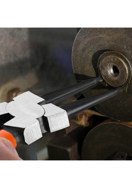 4 Parça 180 mm Segman Pense Seti Segman Pense Takımı (Yurt Dışından) modelleri