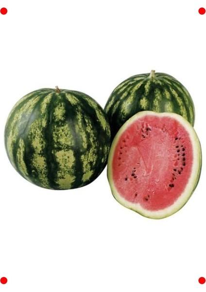 Crystal Sweet Karpuz Tohumu - Inanılmaz Tatlı ve Sulu