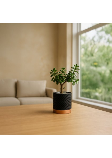 Linea Noir – Modern Saksı fiyatları