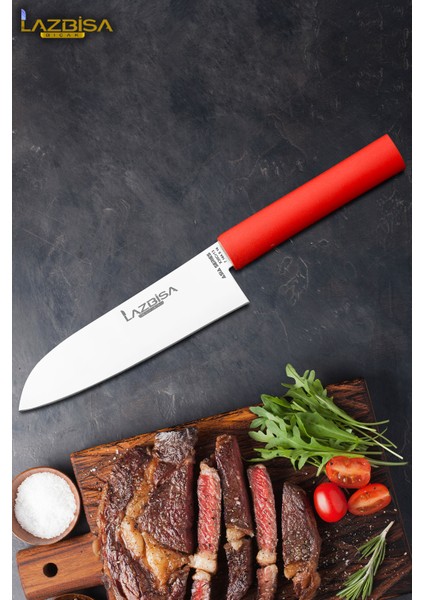 Asia Serisi Mutfak Bıçak Santoku Şef Bıçağı Et Ekmek Sebze Salata Şef Bıçağı Hds-20