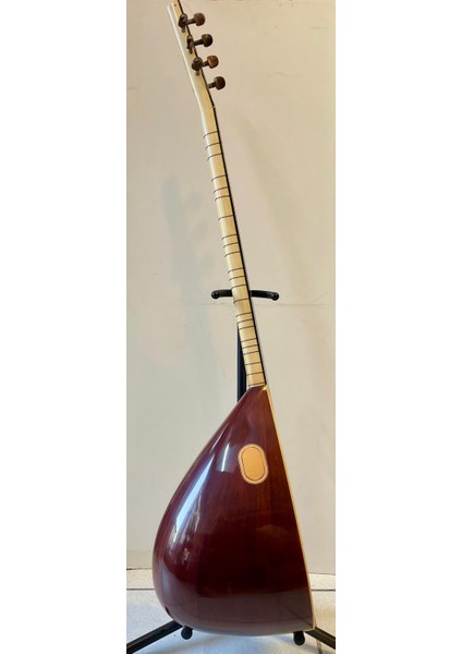 Profesyonel Uzun Sap Ardıç Bağlama