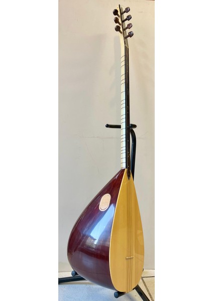 Profesyonel Uzun Sap Ardıç Bağlama fırsatları