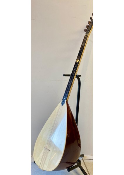 Profesyonel Uzun Sap Ardıç Bağlama indirimleri