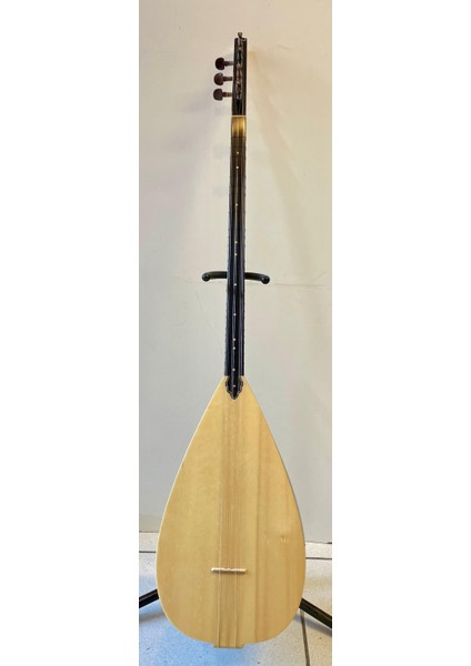 Profesyonel Uzun Sap Ardıç Bağlama