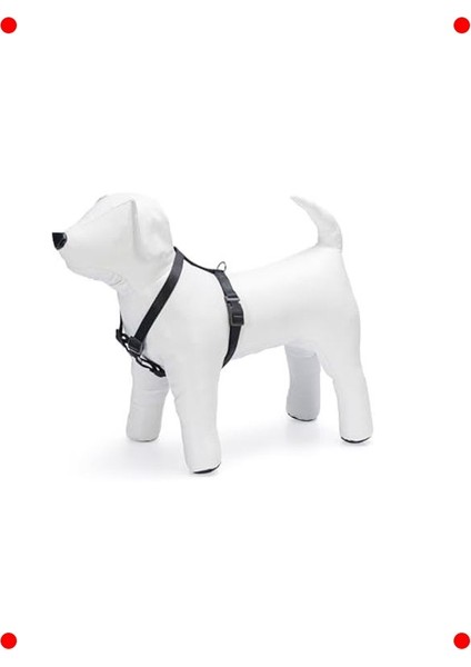 Konforlu ve Ayarlanabilir Köpek Göğüs Tasması (Siyah) modelleri