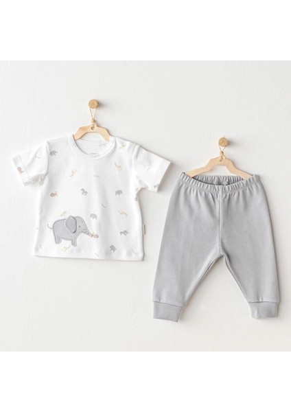 Andywawa AC25809 Little King 2'li Takım Grey