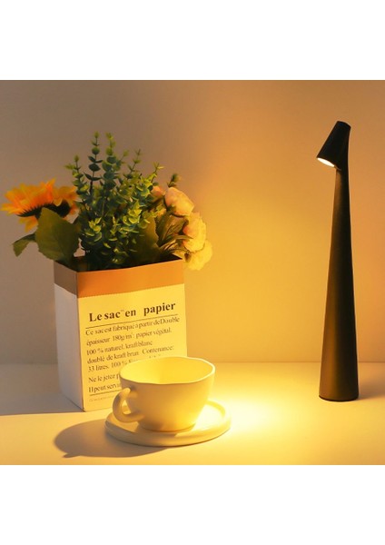 Masaüstü Dokunmatik LED Çalışma Lambası, Kuzey Avrupa Stili Yer Lambası (Yurt Dışından) modelleri