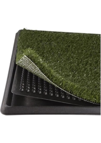 Buğz Köpek Tuvalet Eğitim Seti fiyatları