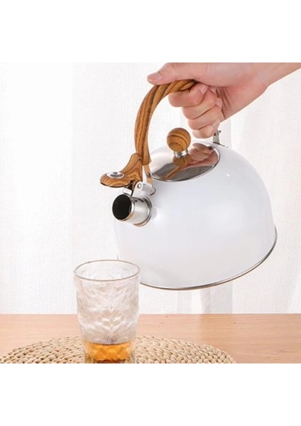 Buğz Paslanmaz Çelik Demlik Beyaz Renk fiyatları