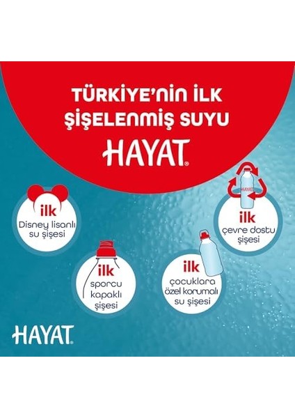 Hayat Doğal Mineralli Su 6x1 L