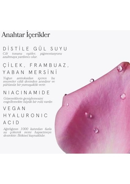 Pelcare Rose Super Antioksidan Serum | Meyve Antioksidanlı Gözenek Karşıtı Su Bazlı Serum (30 ml | 1 Oz)