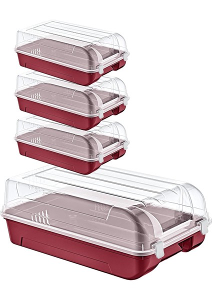 4&apos;lü Set Erkek Carmen Ayakkabı Kutusu