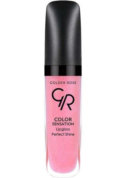 Golden Rose Sensation Lipgloss 106 fiyatları
