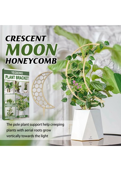 3 Adet Tırmanma Asma Raf Bitki Saksı Ahşap Destek Çerçevesi Çiçek Dekoratif Kafes Braketi Sarmaşıklar Tırmanma Raf Direği-4 (Yurt Dışından) modelleri