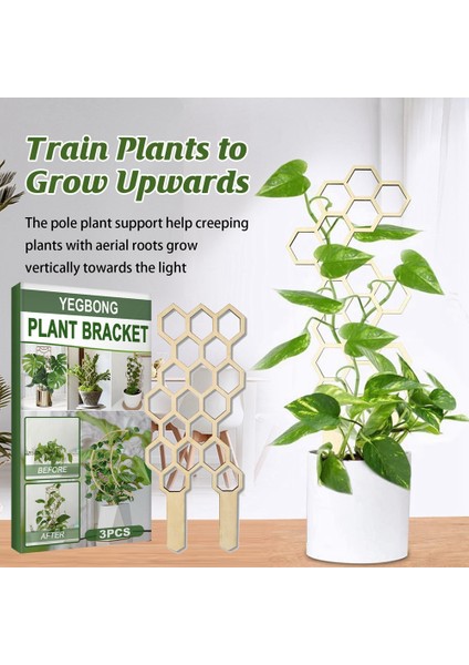 3 Adet Tırmanma Asma Raf Bitki Saksı Ahşap Destek Çerçevesi Çiçek Dekoratif Kafes Braketi Sarmaşıklar Tırmanma Raf Direği-4 (Yurt Dışından) fırsatları