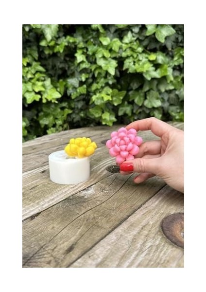 Concept Obtusa Sukulent Mum Kalıbı (Silikon) fiyatları