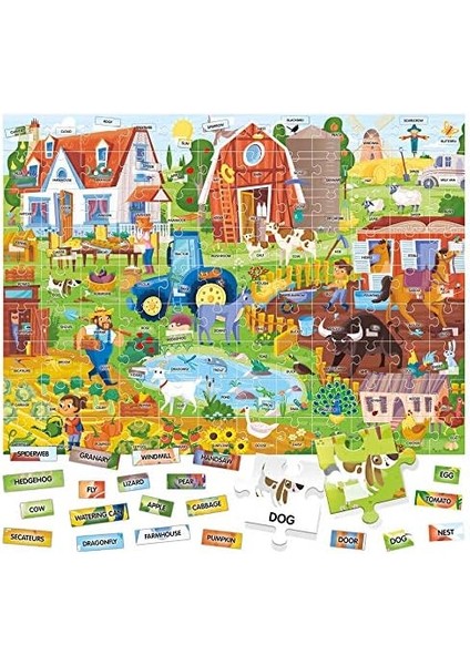 IT20997 Kutu Oyunu, Siyah modelleri