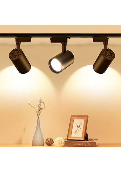 Buğz Cata Ct 5334 Ledli Ray Spot 30W 4000K Ilık Beyaz'ı fiyatları