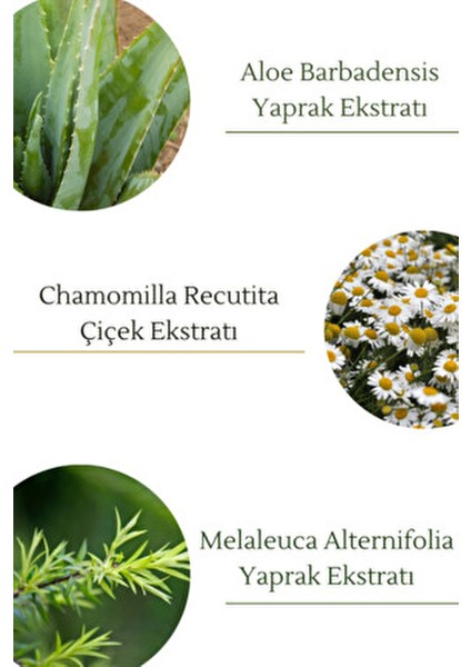 Leke Serumu Aydınlatıcı ve Ton Eşitleyici 40 ml Lekeli Ciltler İçin Niacinamide