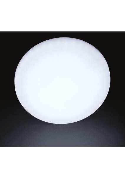 Noas YL12 3600 Sıva Altı 36W Ayarlanabilir LED Spot 6500K Beyaz modelleri