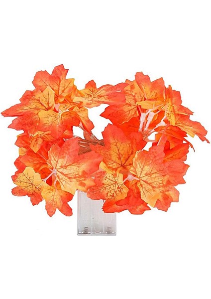 AA98YT1097 Konseptli Dekoratif Yaprak Desenli Şerit LED Gece Lambası, Kırmızı
