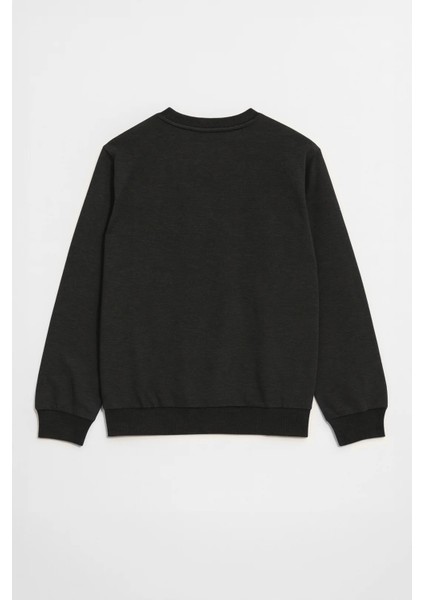 Erkek Bisiklet Yaka Düz Antrasit Sweatshirt