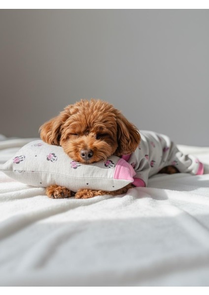 Minnie Pembe Köpek Uyku Takımı | Pamuklu Penye Köpek Tulumu ve Mini Yastık | Küçük Irklar Için | Tüy Dökülmesini Azaltır