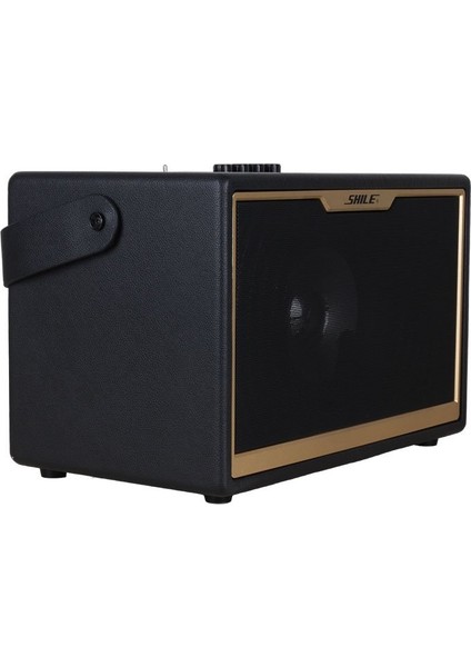 Sd-1 El Mikrofonlu Taşınabilir Şarjlı Seyyar Anfi fiyatları
