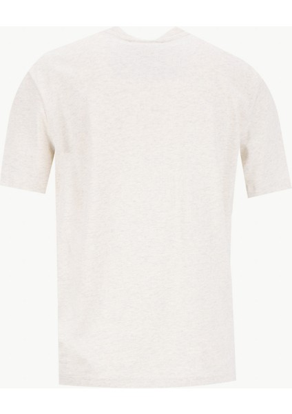 Yuvarlak Yaka Baskılı Gri Kadın T-Shirt LV047C912GP4P fiyatları