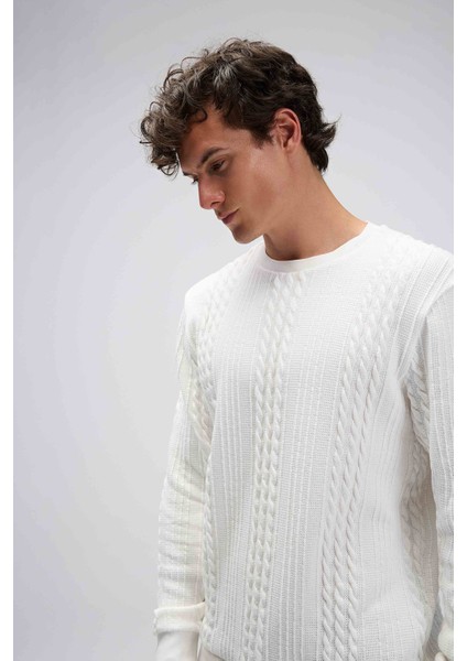 Pamuklu Regular Fit Bisiklet Yaka Sweat Erkek Sweat EM623 fiyatları