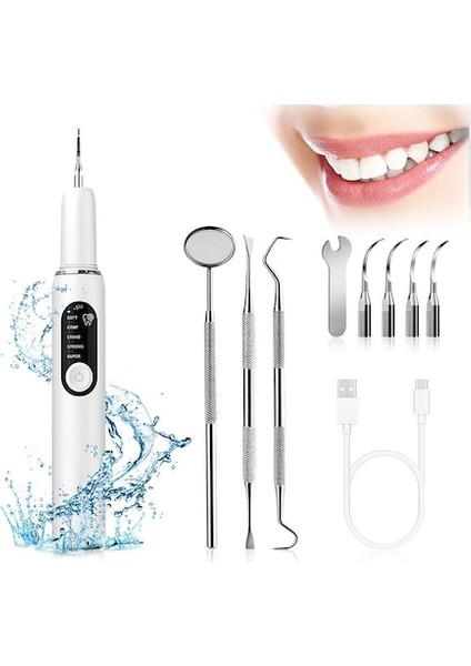 Lıcorıce Yetişkin Taşınabilir Elektrikli Diş Fırçası Seti (Yurt Dışından)