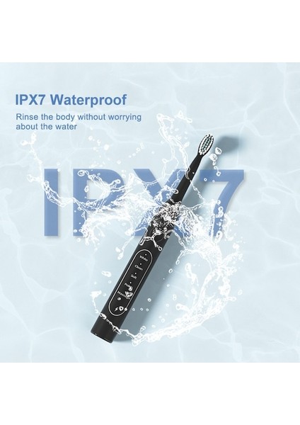 Lıcorıce Yetişkin Elektrikli Diş Fırçası Seyahat Seti, Stand ve Taşınabilir Kılıf (Yurt Dışından) fiyatları