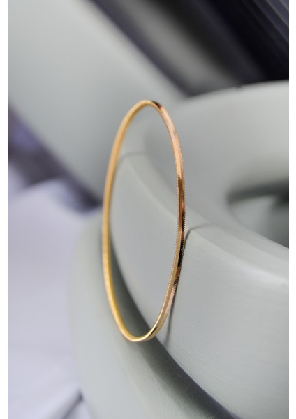 4 gr (Gram) 22 Ayar Ajda Bilezik fiyatları