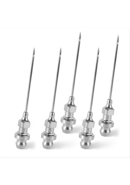 5pcs Grease Iğneleri Mini Yataklı Gres Iğne Nozeti Taşınabilir Çıkarılabilir Iğne Hava Nozeti Gres Aracı Bilyalı Eklemler Için (Yurt Dışından)