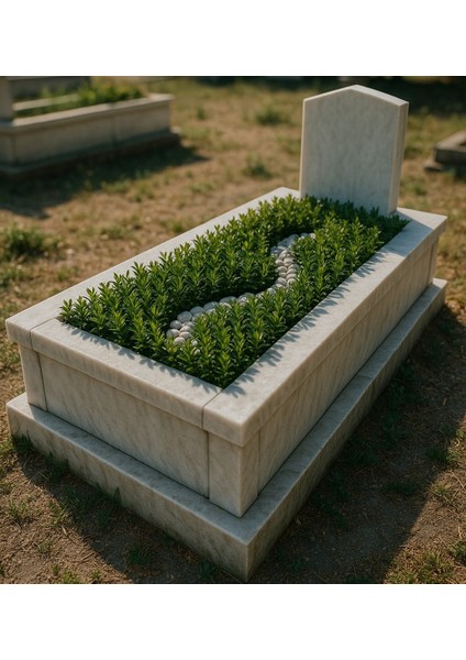 MEZAR - KABİR BİTKİ SETİ - 10 ADET YEŞİL SÜTUN TAFLAN GREENSPİRE indirimleri