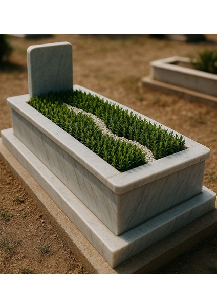 MEZAR - KABİR BİTKİ SETİ - 20 ADET YEŞİL SÜTUN TAFLAN GREENSPİRE fiyatları