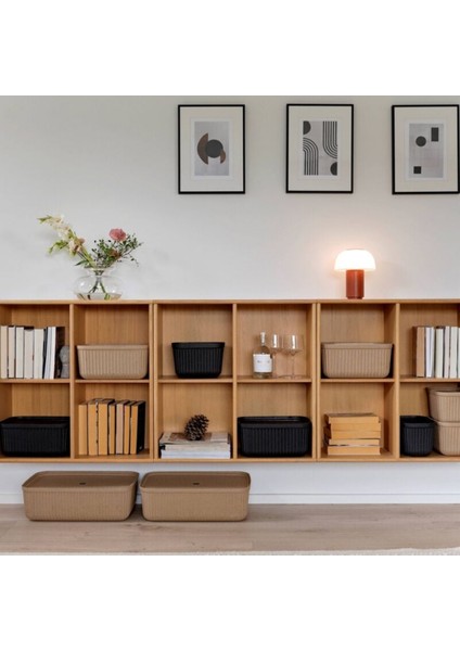 Pulp 2'li Saklama Kutusu 17 L Çamur Rengi 48 x 32 x 15 cm indirimleri